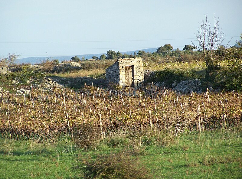 File:Plateau des Grads.JPG