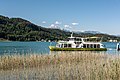 * Nomination Motorship «Velden» after leaving the landing stage on «Landspitz», Pörtschach am Wörther See, Carinthia, Austria --Johann Jaritz 02:26, 2 June 2017 (UTC) * Promotion Good quality. --Jkadavoor 03:41, 2 June 2017 (UTC)  Comment WB looks too cold --Uoaei1 06:09, 2 June 2017 (UTC)  Done @Uoaei1: WB corrected to warmer tones. --Johann Jaritz 07:25, 2 June 2017 (UTC)