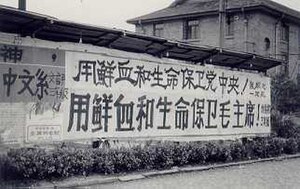 文化大革命: 概要, 展開, 1970年代