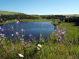 Little lake behind the Pressnitz dam in the Ore Mountains