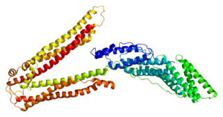 <span class="mw-page-title-main">PDCD6IP</span> Protein-coding gene in the species Homo sapiens