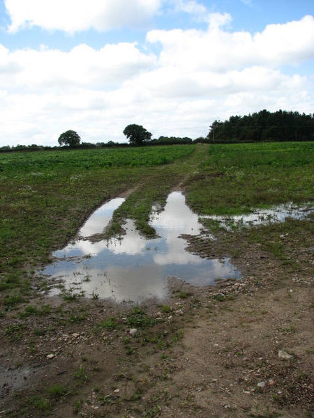 File:Public footpath to Church Street - geograph.org.uk - 545792.jpg