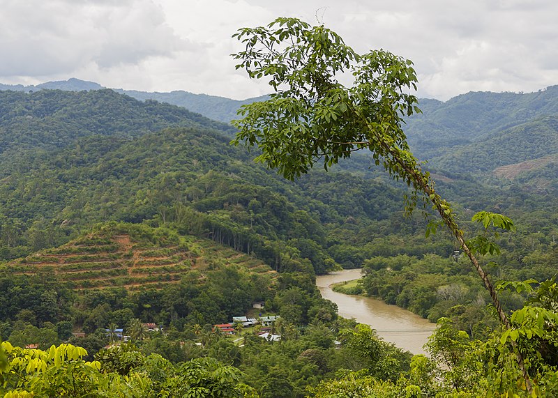 File:Rangalau-Lama Sabah Sungai-Tuaran-01.jpg