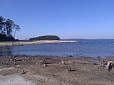 Beach of a large lake-like reservoir with much driftwood. A small island is visible in the water.
