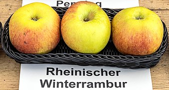 Ansicht der Frucht