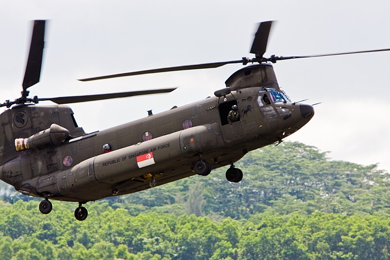 File:RoSAF - Chinook - Open House 2008 MG 7418 (2810196929).jpg