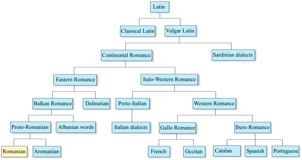 Языки относящиеся к романской группе. Генеалогическое Древо романских языков. Романская ветка языков. Древо латинского языка. Генеалогическая классификация языков.