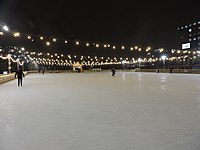 Roshen Ice Rink in Kharkiv 2018-19 at night (03).jpg