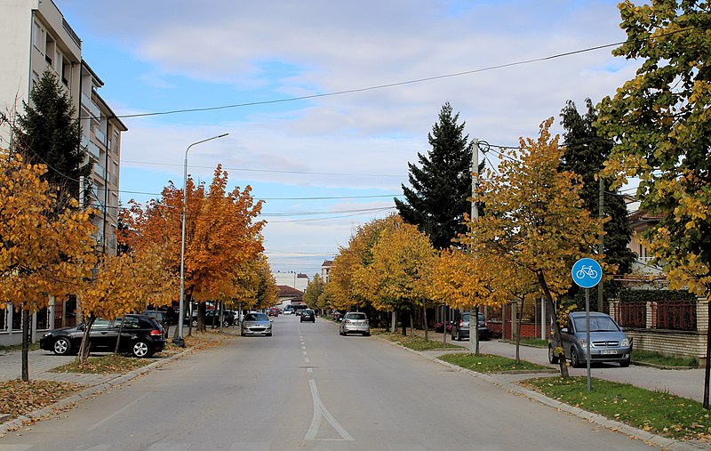 File:Rruga Migjeni, Gjakova2.jpg