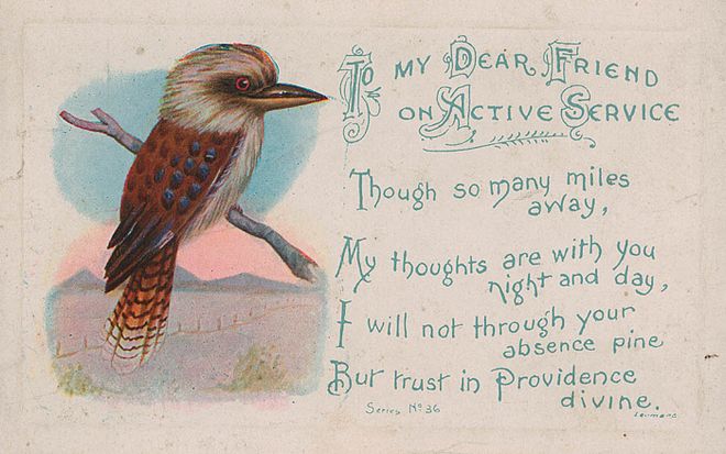 An Australian Kookaburra active service postcard