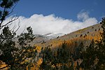 Aspen og snødekte fjell på senhøsten.