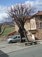 Sarcey, Rhône