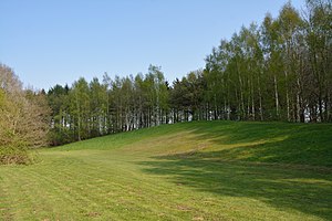 Schleswig-Holstein, Kreis Steinburg, Lohmühlenteich NIK 5069.JPG