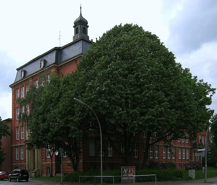 File:Schule Hasselbrook in Hamburg-Eilbek, Straßenbäume (1).jpg