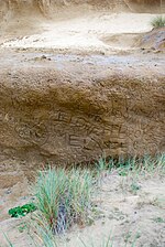 Thumbnail for File:Seal Rock State Park - DPLA - 337f043503dade35f91bee6a88f06117.jpg