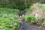 Shore Lane Brook