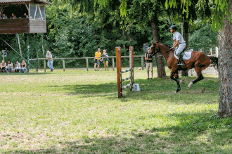 A horse and rider jumping an obstacle Show jumping - horse animation.gif