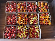 Tomatoes for sale at SingleThread's farm stand in Healdsburg. The farm stand opened in 2022. SingleThread Farm Stand - August 2022 - Sarah Stierch 06.jpg