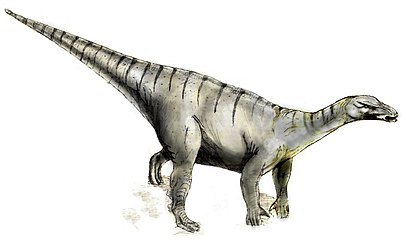 Iguanodon bernissartensis