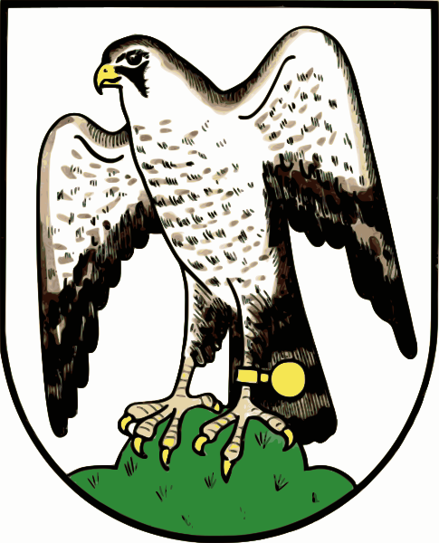 File:Sokolov CoA CZ.svg