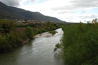 <span class="mw-page-title-main">Solopaca</span> Comune in Campania, Italy