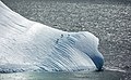 89 South Shetland-2016-Deception Island–Chinstrap penguins (Pygoscelis antarctica) 04 on iceberg uploaded by Godot13, nominated by Godot13