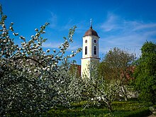 Kirche St. Alban in Mettenberg