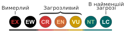 Миниатюра для Файл:Status iucn3.1 uk.svg