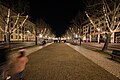 Straße unter den Linden Berlin at night with Christmas illumination 2023-12-17 05