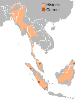 Udbredelsesområdeorange (oprindelig), rød (i dag)