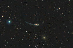 Tadpole galaxy in Draco