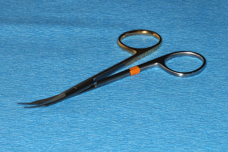 File:Tenotomy scissors curved.jpg