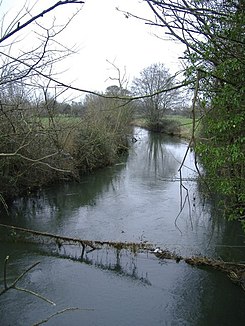 The Swill Brook