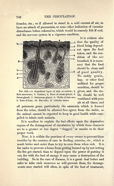 File:The art of taming and educating the horse (Page 742) BHL23190807.jpg