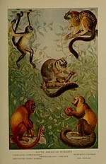 Thumbnail for File:The life of animals (Colored Plate 2) (7171933550).jpg