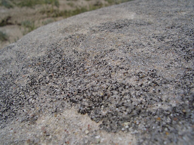 File:Toadstool Geologic Park, 6 July 2005, no. 60.jpg