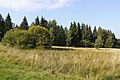 Čeština: Přírodní rezervace Trčkovská louka na území obce Orlické Záhoří English: Trčkovská louka nature reserve in Orlické Záhoří, Czech Republic