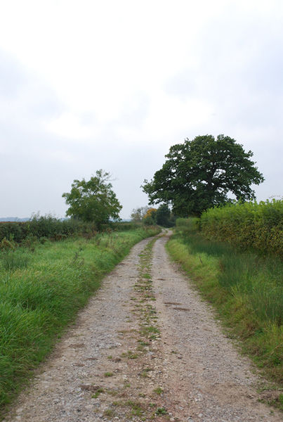 File:Track on Lois Farm - geograph.org.uk - 578116.jpg