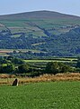 Trellyffaint Standing Stone