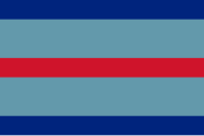 An RAF air marshal's command flag