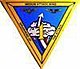 USN Medium Attack Wing One insignia.jpg