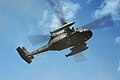US Army UH-60 Black Hawk.jpg