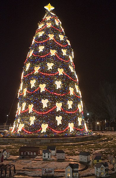 File:US National Christmas Tree 2007.jpg