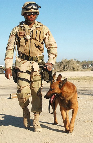 File:US Navy 030302-N-5362A-011 U.S. Navy working dog.jpg