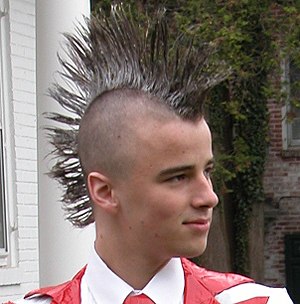 User-Ich with Mohawk.jpg