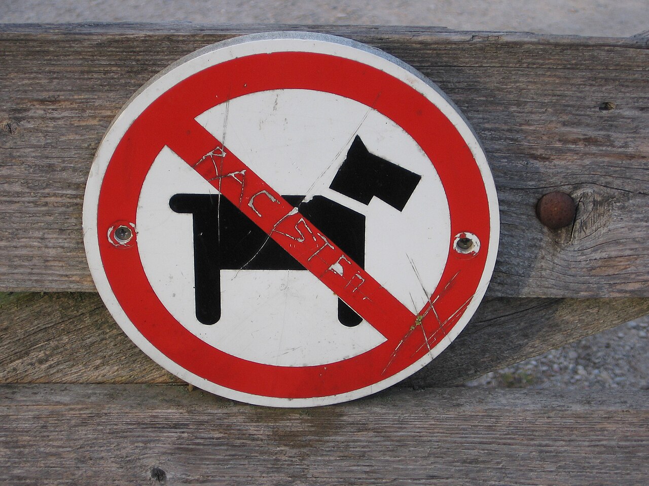 combinatie Met opzet Onhandig File:Verbodsbord voor honden - "Racisten" - No dogs sign - Welsh terrier -  Bert Bospad - Westbroek, The Netherlands, 2020.jpg - Wikimedia Commons