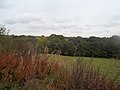 Thumbnail for File:View towards Newton from The Silverhill Trail - geograph.org.uk - 3188031.jpg