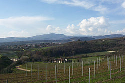 Uitzicht vanaf de heuvels van Valpolicella