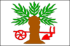 پرچم وربیتسه (ناحیه ییچین)