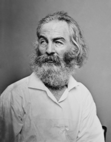 Whitman as photographed by Mathew Brady Walt Whitman - Brady-Handy restored.png